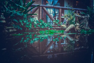 PATRICIA PICETTI - FOTOS DE POUSADA-35.jpg